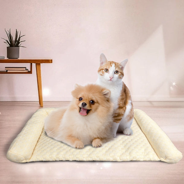 Summer Pet Ice Mat Pet Kennel